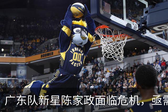 广东队新星陈家政面临危机，亟需重振状态